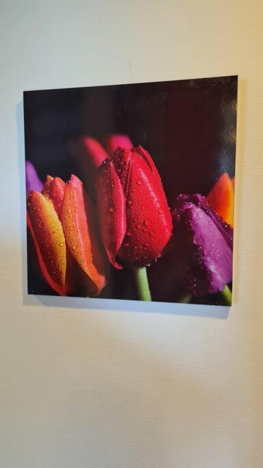 Oude Meesters Bolsward Exterior foto